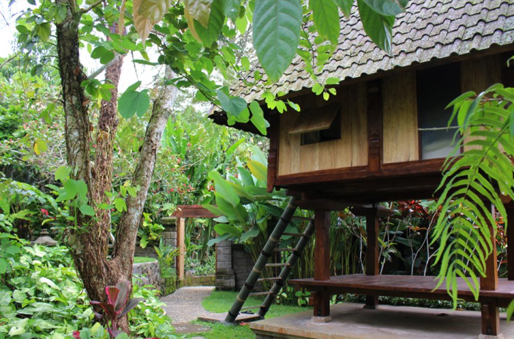 RITMO Bali (Budget)